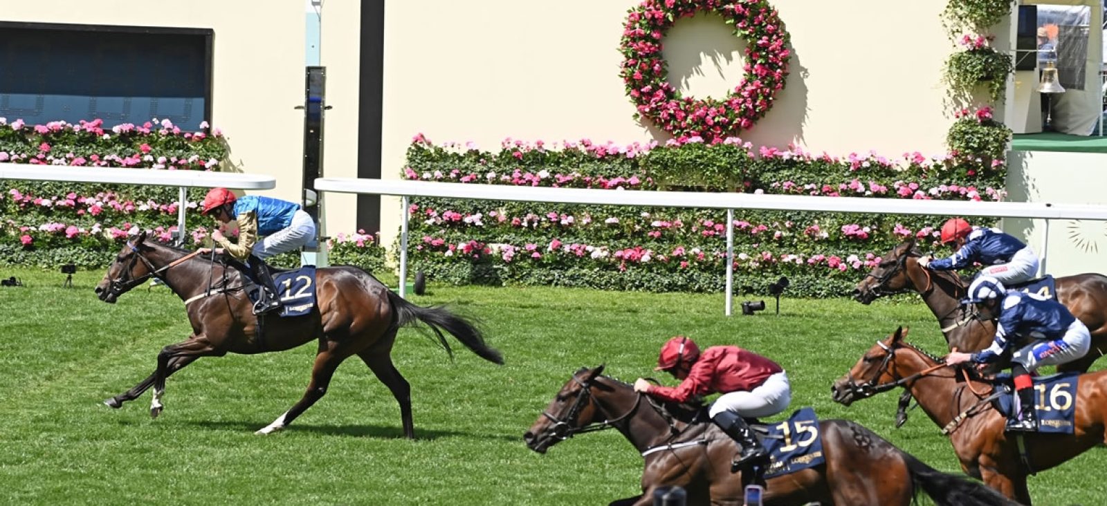 leovanni Royal Ascot cropped